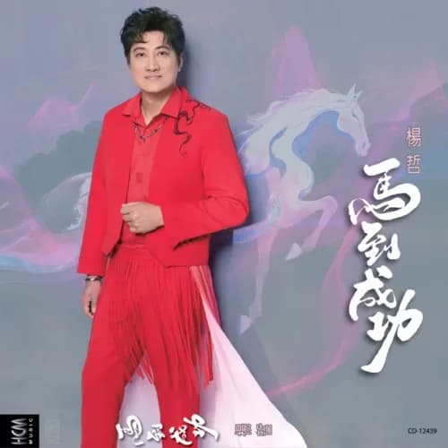 流行 无损音乐 杨哲《马到成功》[闽南语][320K/MP3][FLAC/分轨][333.3MB]