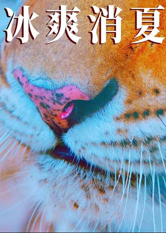 [夸克下载][寒冰白血][WEB-MKV/11.6G][国语配音/中文字幕][4K-2160P][2025最新]