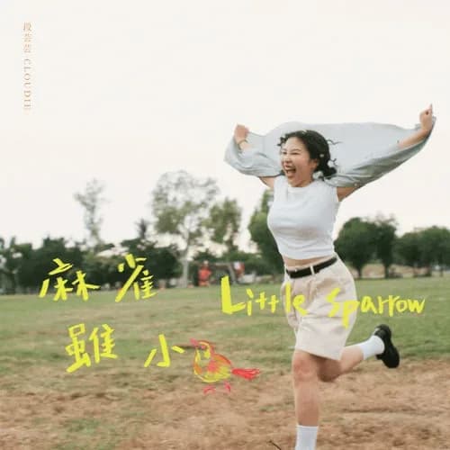 流行 无损音乐 段芸芸《麻雀虽小》[320K/MP3][24Bit-48kHz][FLAC/分轨][253.7MB]