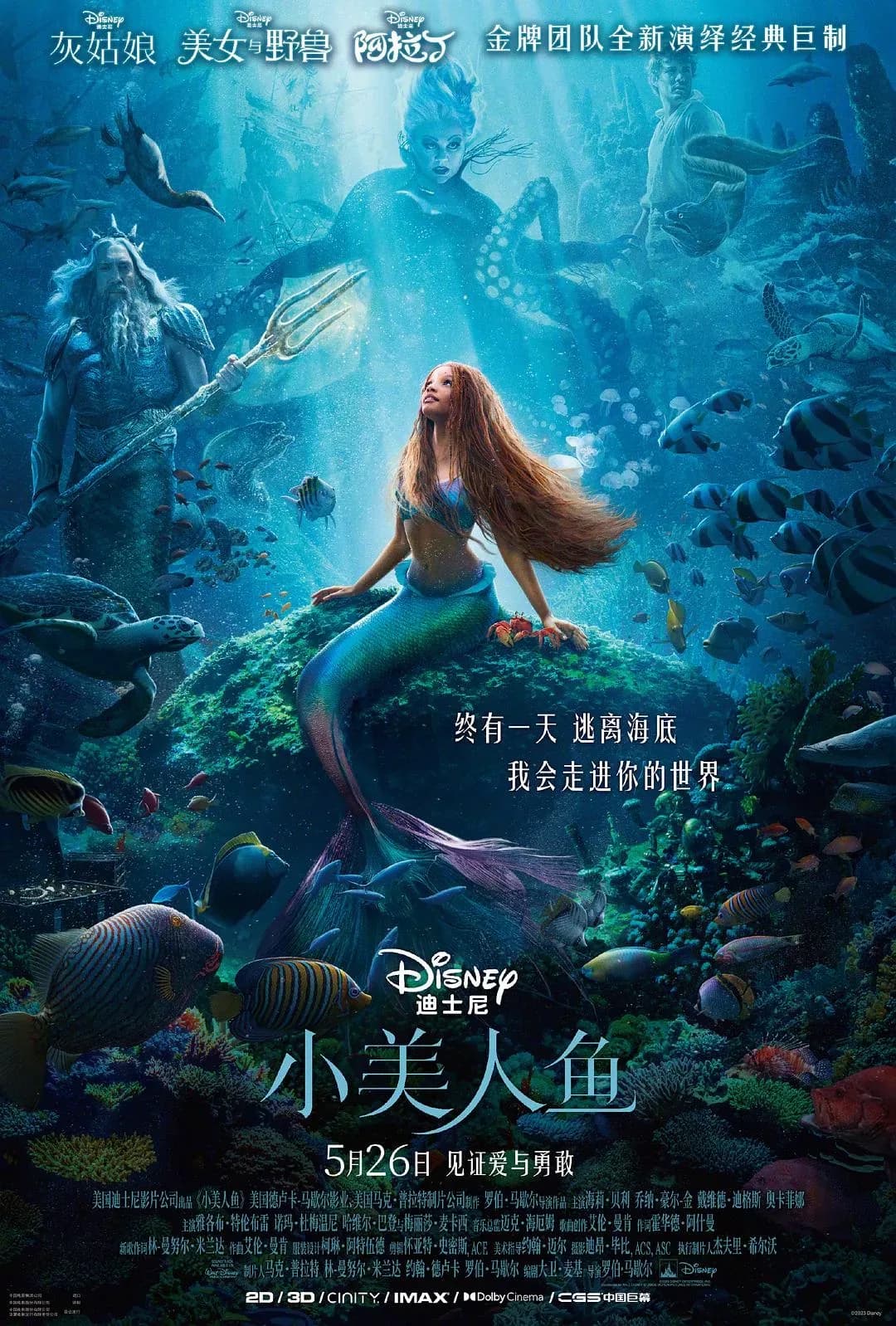 [夸克下载][小美人鱼][WEB-MKV/33.3G][英语/外挂中英双字幕][1080P-蓝光原盘][remux][2023热门][迪士尼版][小美人鱼真人版]