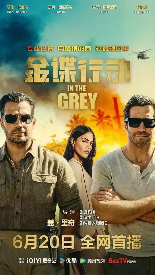 金谍行动[简繁英字幕].In.the.Grey.2026.Bluray.2160p.DTS-HDMA5.1.HDR.x265.10bit-DreamHD 18.77GB